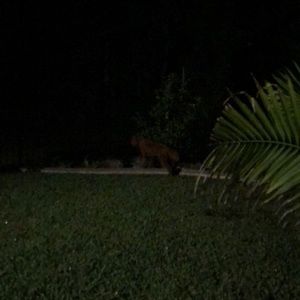 Meet your Posher, Karen